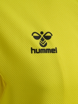 Hummel Authentic Zip Hoodie - Blazing yellow